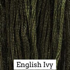 English Ivy - Classic Colorworks