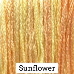 Sunflower - Classic Colorworks