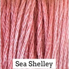 Sea Shelley - Classic Colorworks
