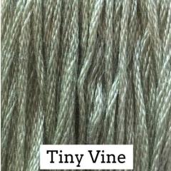 Tiny Vine - Classic Colorworks