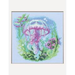 Aine - Baby Jellyfish