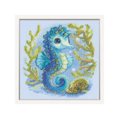 Aine - Baby Sea Horse