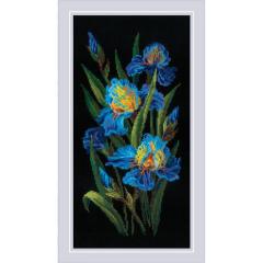 Riolis - Beatuful Irises