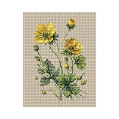 Collection dArt - Buttercups