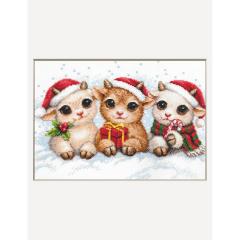 Stickpackung Aine - Christmas Joy