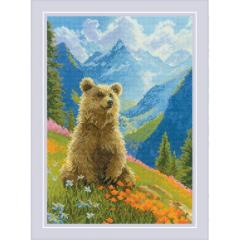Riolis - Clumsy Bear