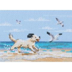 RTO - Dog Running on Beach