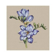 Collection dArt - Freesia