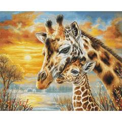 Luca-S - Giraffe Cuddle