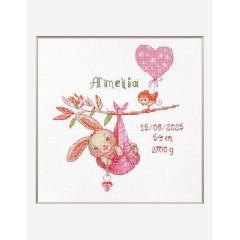 Girl Birth Sampler - Aine (Stickpackung)