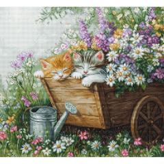 Kittens Sleep - Luca-S (Stickpackung)