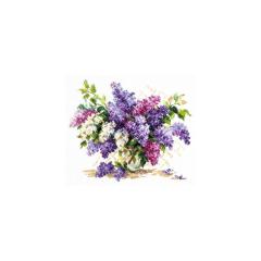 Magic Needle (Chudo Igla) - Lilac