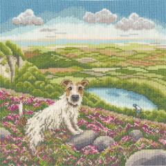 Bothy Threads - Lucy Pittaway - One Vet And His Dog
