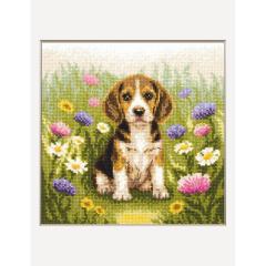Stickpackung Aine - Meadow Pup
