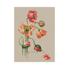 Collection dArt - Poppy