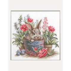 Aine - Rabbit in a Pot