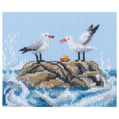 RTO - Seagulls on Rock