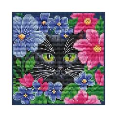 Secret Observer - Collection dArt (Stickpackung)