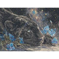 Leti Stitch - Starry Dreams