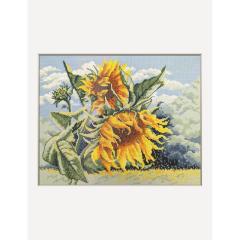Aine - Sunflowers in the Wind
