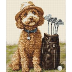 The Master Golfer - Luca-S (Stickpackung)