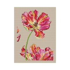 Collection dArt - Tulip