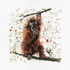 Bree Merryn Stickpackung - Otis The Orangutan