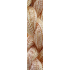 Caron Wildflowers - 202 Peach Cobbler