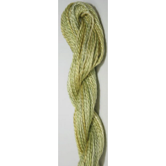 Caron Wildflowers - 215 Cilantro