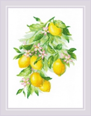 Stickpackung Riolis - Bright Lemons 30x40 cm
