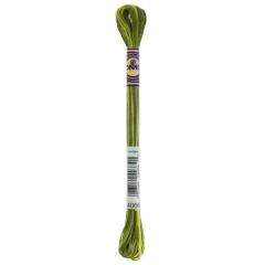 DMC Color Variations Stickgarn - 4066 Fresh Cut Grass