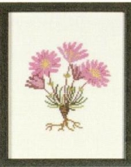 Fremme Stickpackung - Bitterroot Montana
