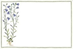 Fremme Stickpackung - Platzset Glockenblumen