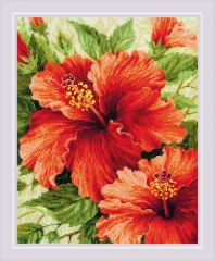 Stickpackung Riolis - Hibiscus 40x50cm