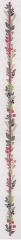 Fremme Stickpackung - Band Beeren & Früchte