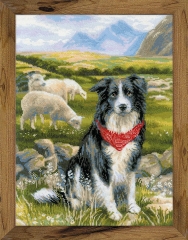 Riolis - Stickbild Border Collie