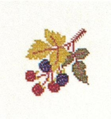 Fremme Stickpackung - Brombeeren