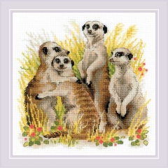 Riolis Stickpackung - Meerkats 25x25 cm