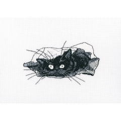 RTO Stickbild Among Black Cats 13,5x8 cm