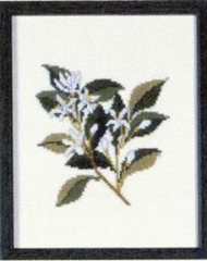 Fremme Stickpackung - Orange Blossom Florida
