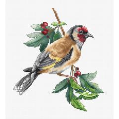 Luca-S Stickpackung - Goldfinch Bird