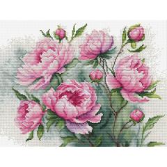 Luca-S Stickpackung - The Charm of Peonies
