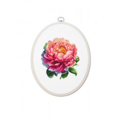 Luca-S Stickpackung - Coral Charm Peony 12x12 cm