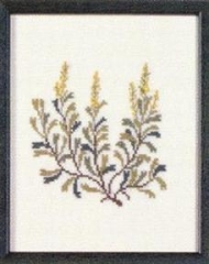Fremme Stickpackung - Sagebrush Nevada