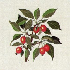 Fremme Stickpackung - Paradiesapfel