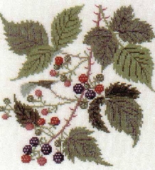 Fremme Stickpackung - Brombeeren