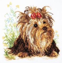Magic Needle Stickpackung - Yorkshire Terrier