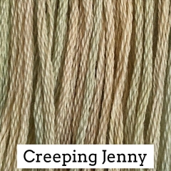 Classic Colorworks - Creeping Jenny