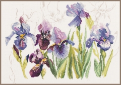 Stickpackung Lanarte – Blaue Iris 40x28 cm
