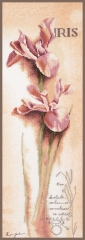 Lanarte - Iris - botanical